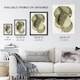 image 3 of Mangrove Grape Tree Vintage Botanical Catesby Huge Wall Art Print 18X24 In