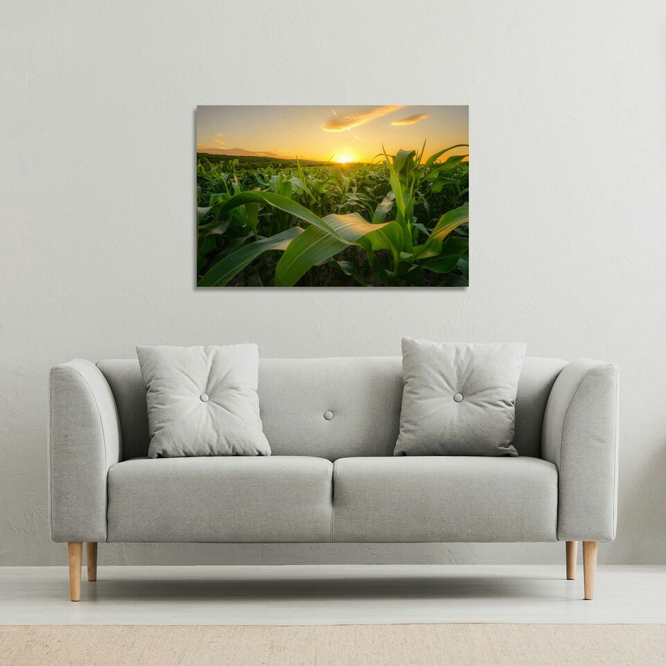 image 1 of field at sunset (Canvas Print) (Canvas Print) 101 x 77 x 4cm