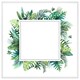 image 1 of Square botanical border (Picture Frame) White | XL