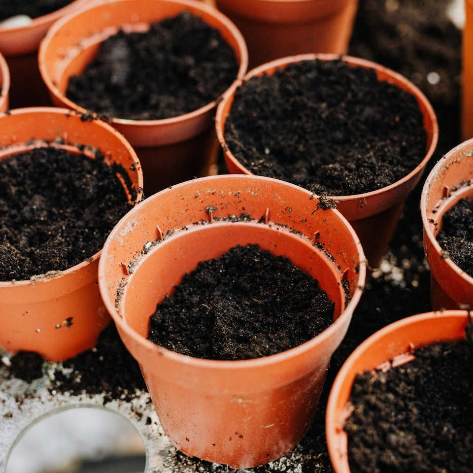 image 1 of Perfect for Pots Compost with 9 Month Feed - 65L - Water Less Formula - Ideal for Containers & Patio Planters