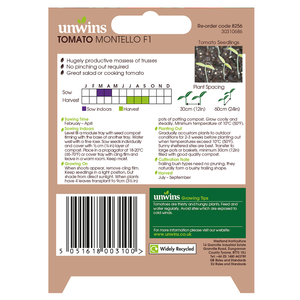 image 1 of Tomato (Cherry Plum) Montello F1