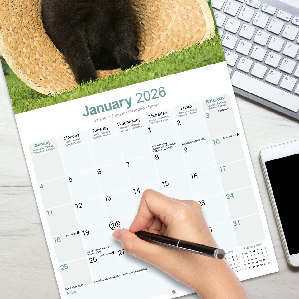 image 1 of Schipperke 2026 Calendar | Square Wall Calendar | Dog Breed Gift | Plastic Free Packaging | by Avonside Publishing