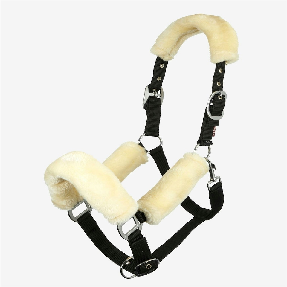 image 1 of LeMieux Comfort Headcollar Blue | X-Full