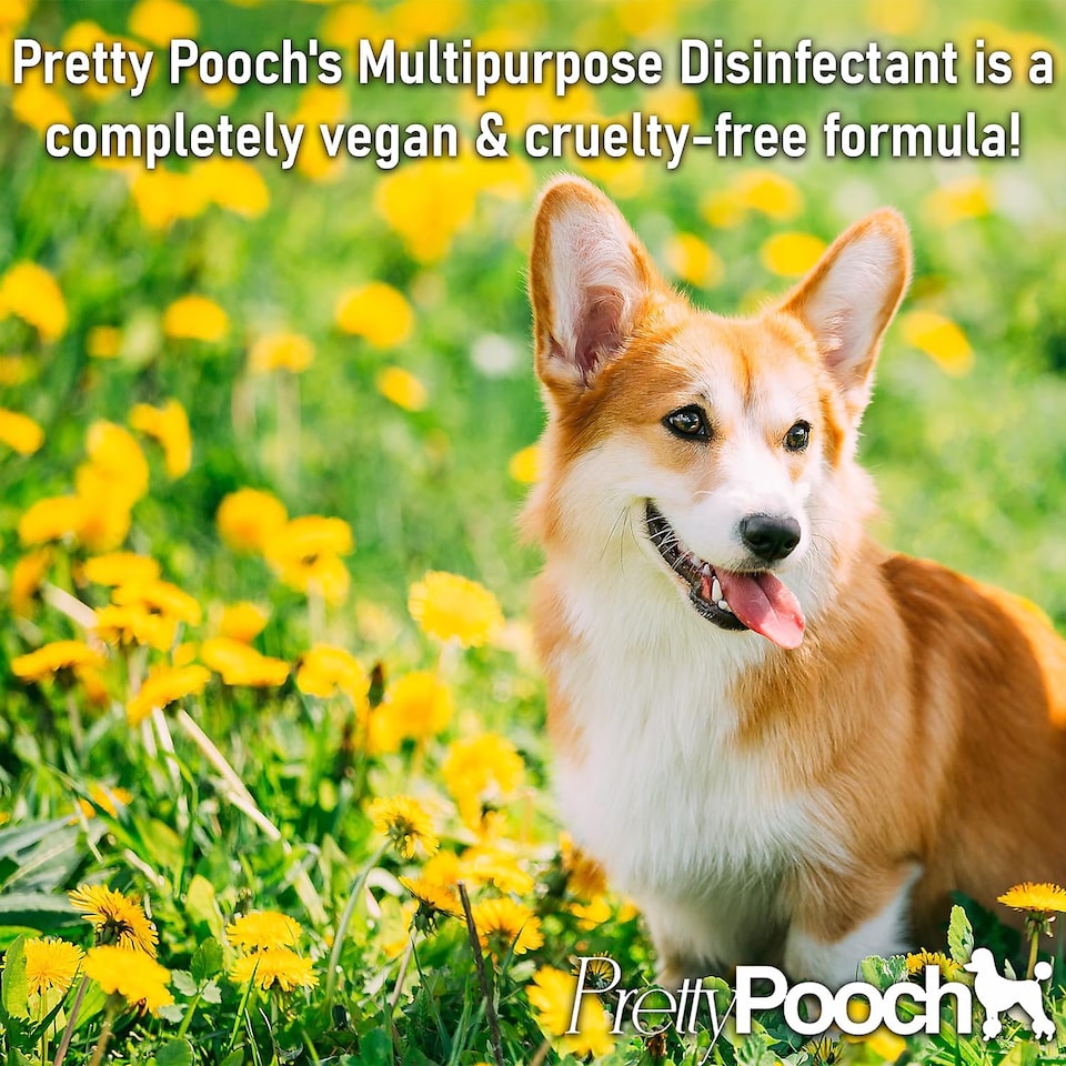 image 1 of Pretty Pooch Multipurpose Disinfectant - Cleaner, Sanitiser, Deodoriser - Concentrated Formula - Peach 5L x4