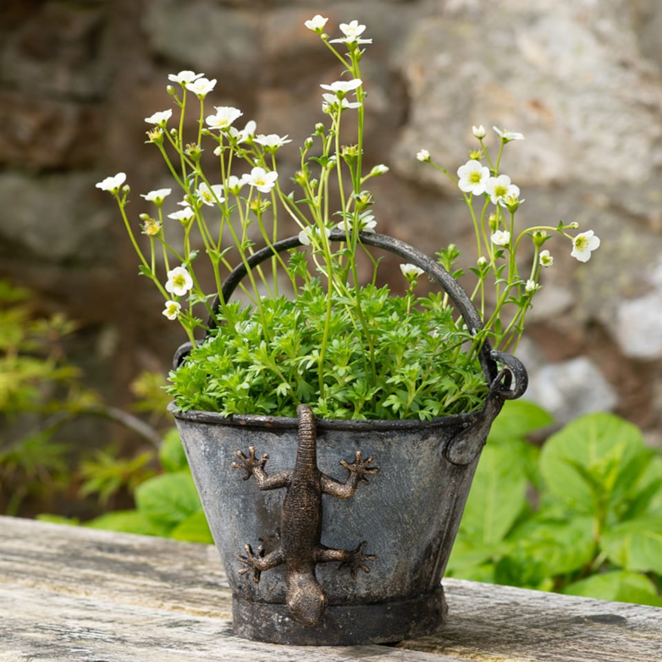 image 1 of Antique Bronze Coloured Gecko Pot Buddy Plant Pot Hanger