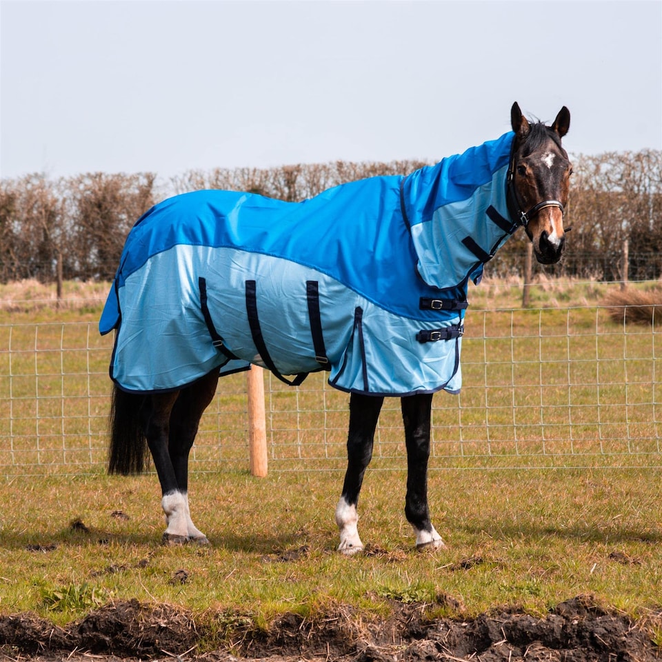 image 1 of eQuitack 600D 2 in 1 Waterproof Fly Turnout Mesh Horse Rug Fixed Neck Blue/Light Blue 5'6''