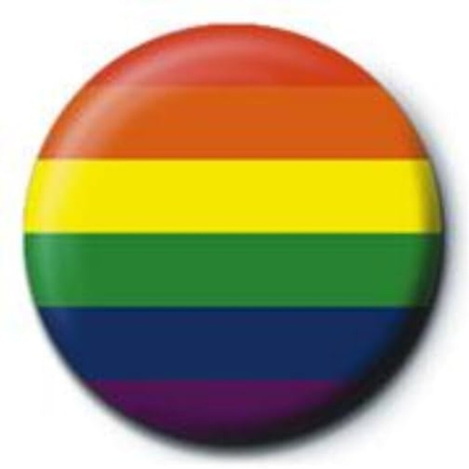 PRIDE FLAG PINBADGE - BADGES N/A