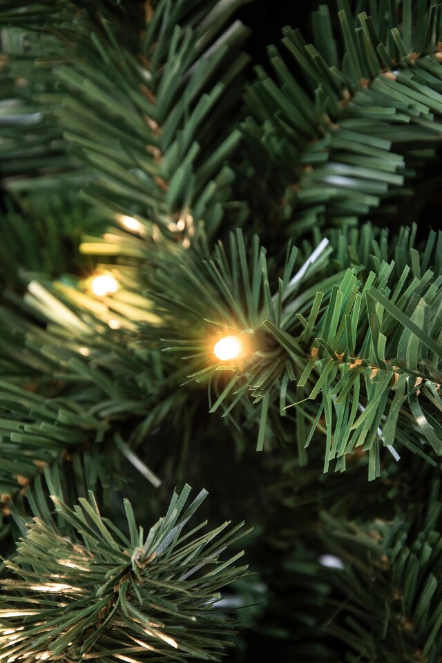 image 1 of Christmas Tree World  Pre-lit 1.4m Vanda Verde Fir Christmas Tree