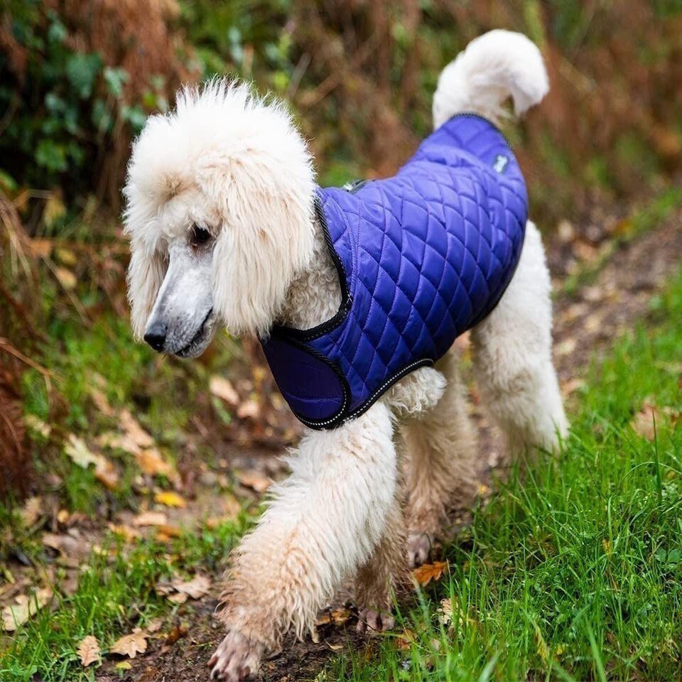 image 1 of Henry Wag Quilted Dog Jacket