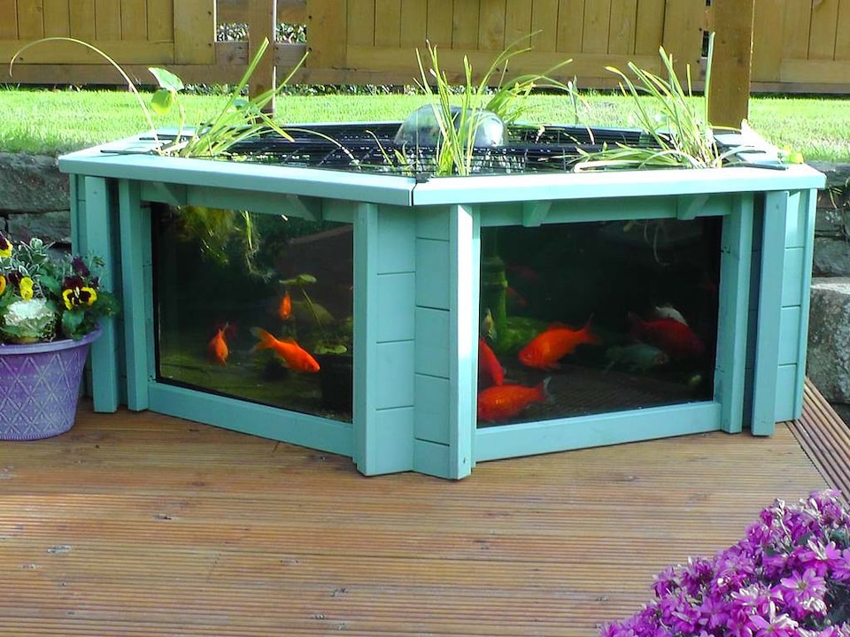 image 1 of Raised hexagon pond with large windows Lily Clear View Garden Aquarium in Seagrass Green