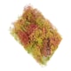 image 1 of Gaugemaster Scenics Seafoam Tree Set (GM195)