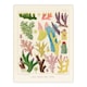 image 3 of William Saville Kent Framed Wall Art Print Great Barrier Reef Corals Home Décor