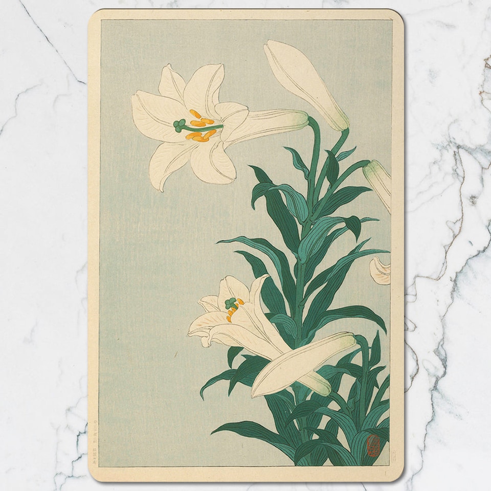 image 1 of Set Of 12 Placemats And Coasters With Designer Artwork And Wood Bottom Wipe Clean