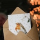 image 3 of Robin Bird Perched Snow Covered Branch Blank For Him Or Her Art Xmas Festive Christmas Card