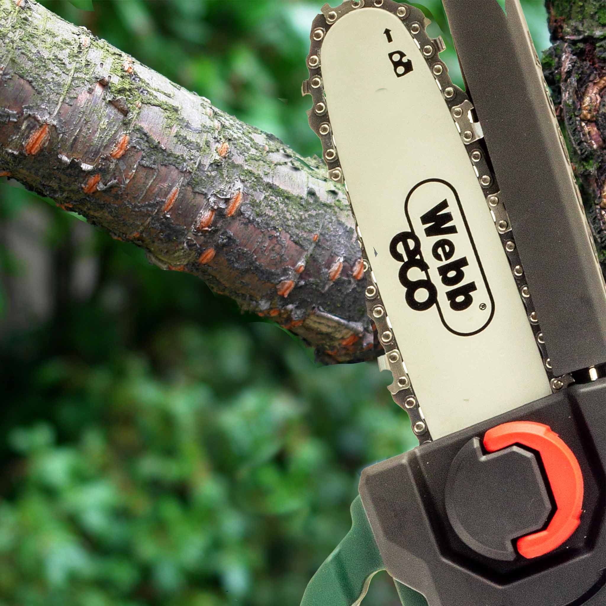 Webb Eco 20V 15cm Cordless Pruning Saw with 2Ah Battery and Charger