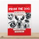 image 2 of Every Doggie's Having Fun! - Funny From The Dog Christmas Card