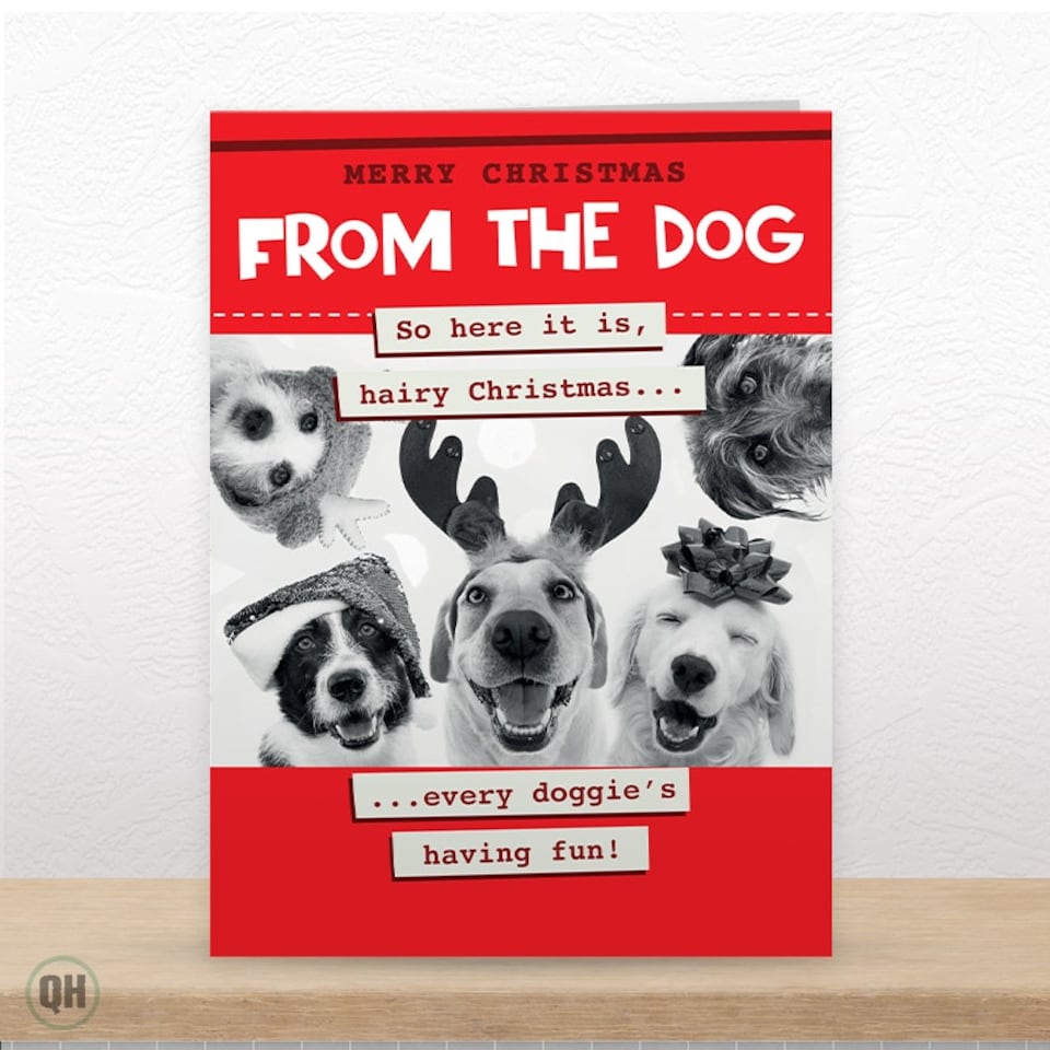 image 1 of Every Doggie's Having Fun! - Funny From The Dog Christmas Card