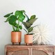 image 8 of Pisa Planter Orange
