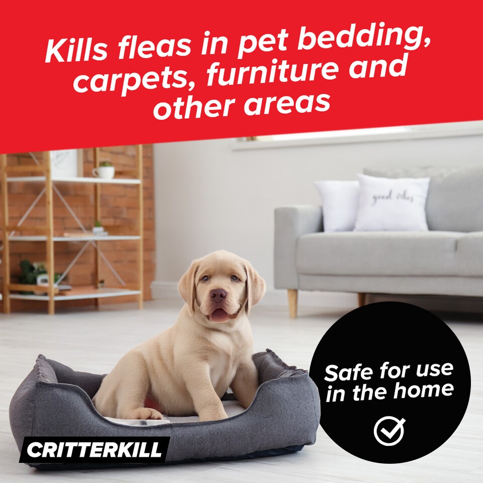 image 1 of Critterkill Flea Killer Smoke Foggers 16g x 8