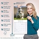 image 6 of Australian Shepherd 2026 Calendar | Square Wall Calendar | Dog Breed Gift | Plastic Free Packaging | by Avonside Publishing