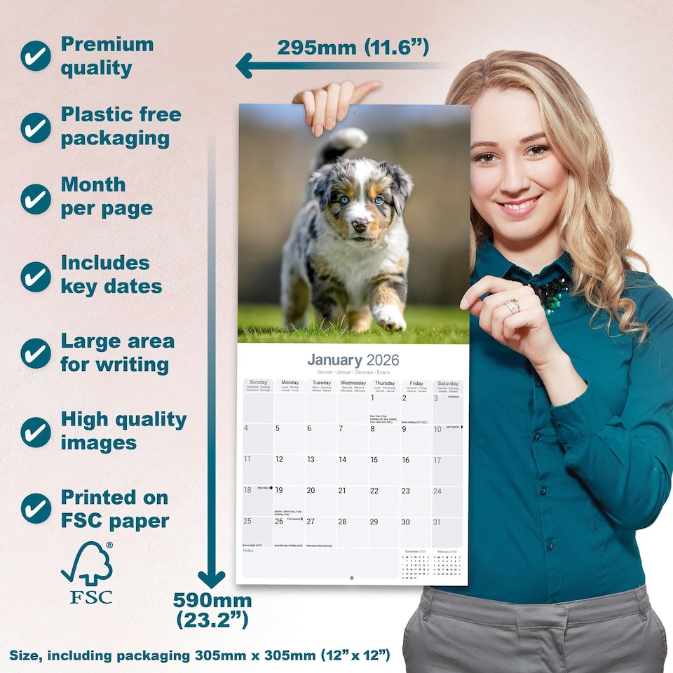 image 1 of Australian Shepherd 2026 Calendar | Square Wall Calendar | Dog Breed Gift | Plastic Free Packaging | by Avonside Publishing
