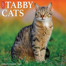 Just Tabby Cats Calendar 2026, Wall Calendars, Month To View, Cats, Gift