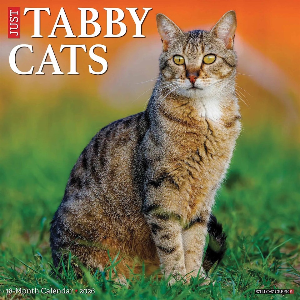 image 1 of Just Tabby Cats Calendar 2026, Wall Calendars, Month To View, Cats, Gift