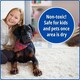 image 5 of Marco Paul Pet Magic Carpet Cleaner Shampoo Solution 5L
