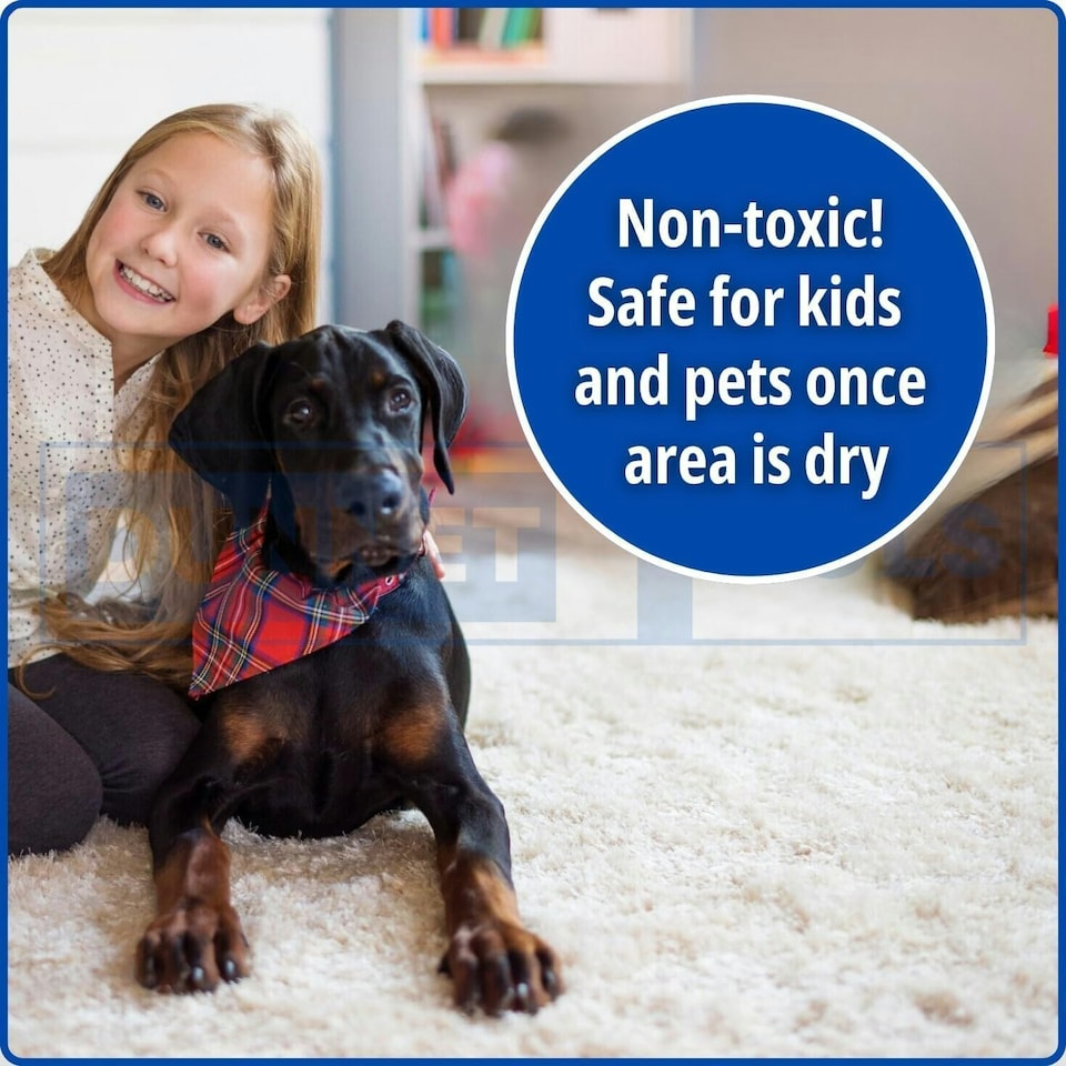 image 1 of Marco Paul Pet Magic Carpet Cleaner Shampoo Solution 5L