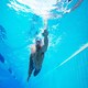 image 7 of Zoggs Horizon Flex Swimming Mask