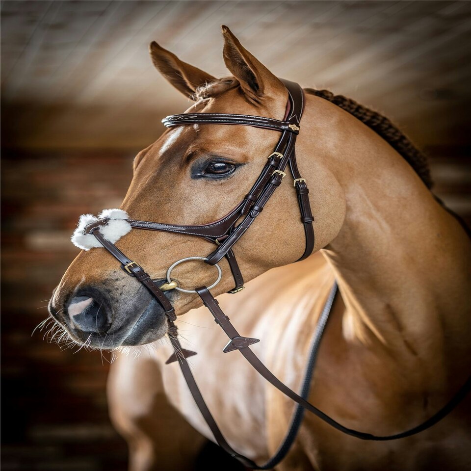 image 1 of LeMieux Grackle Bridle Black | X-Full
