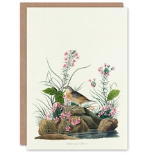 John James Audubon Art Card Yellow Winged Sparrow