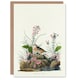 image 1 of John James Audubon Art Card Yellow Winged Sparrow