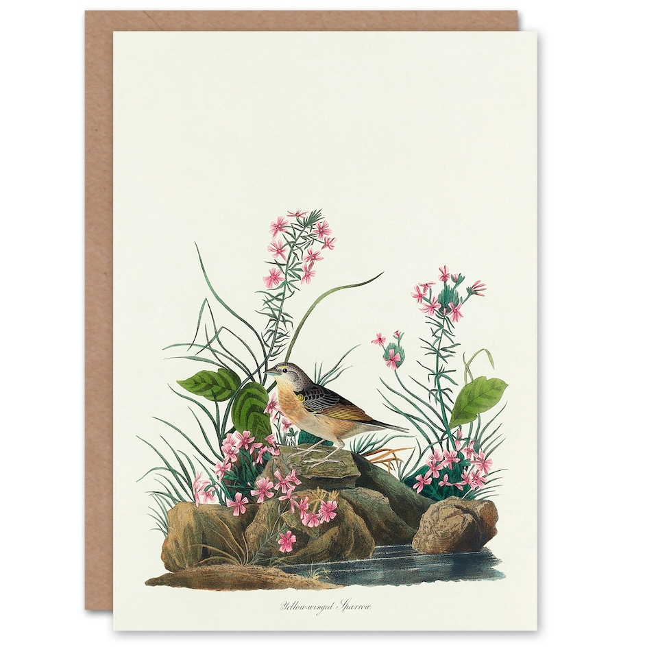 image 1 of John James Audubon Art Card Yellow Winged Sparrow