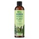 image 1 of Vitax Organic House Plant Feed, 250ml