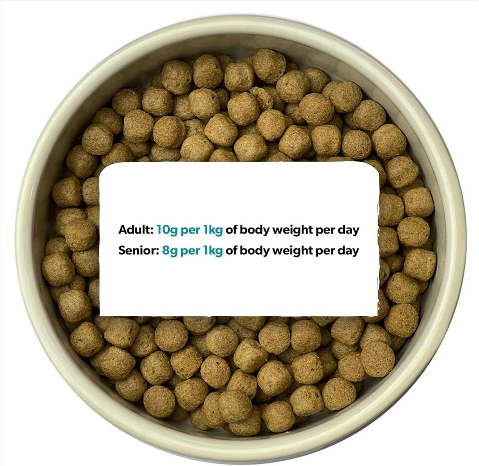 image 1 of Burns Original Chicken & Brown Rice Complete Adult & Senior Dry Dog Food - 6 kg