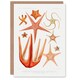 image 1 of Vintage Marine Life Art Card Starfish Species Biodiversity