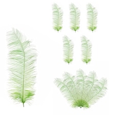 50cm - 60cm Large Ostrich Feathers, Showgirl Spadones - 5pcs