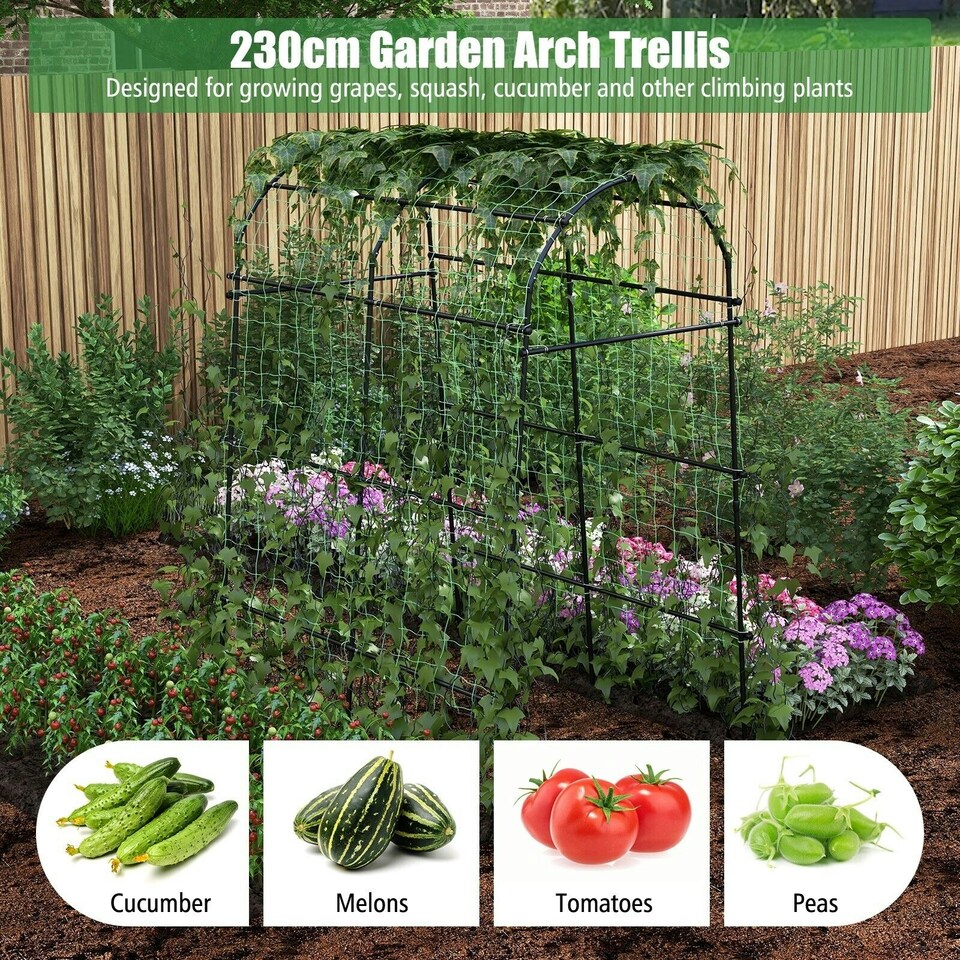 image 1 of COSTWAY 230CM Metal Garden Arch Arbor Climbing Trellis Pergola