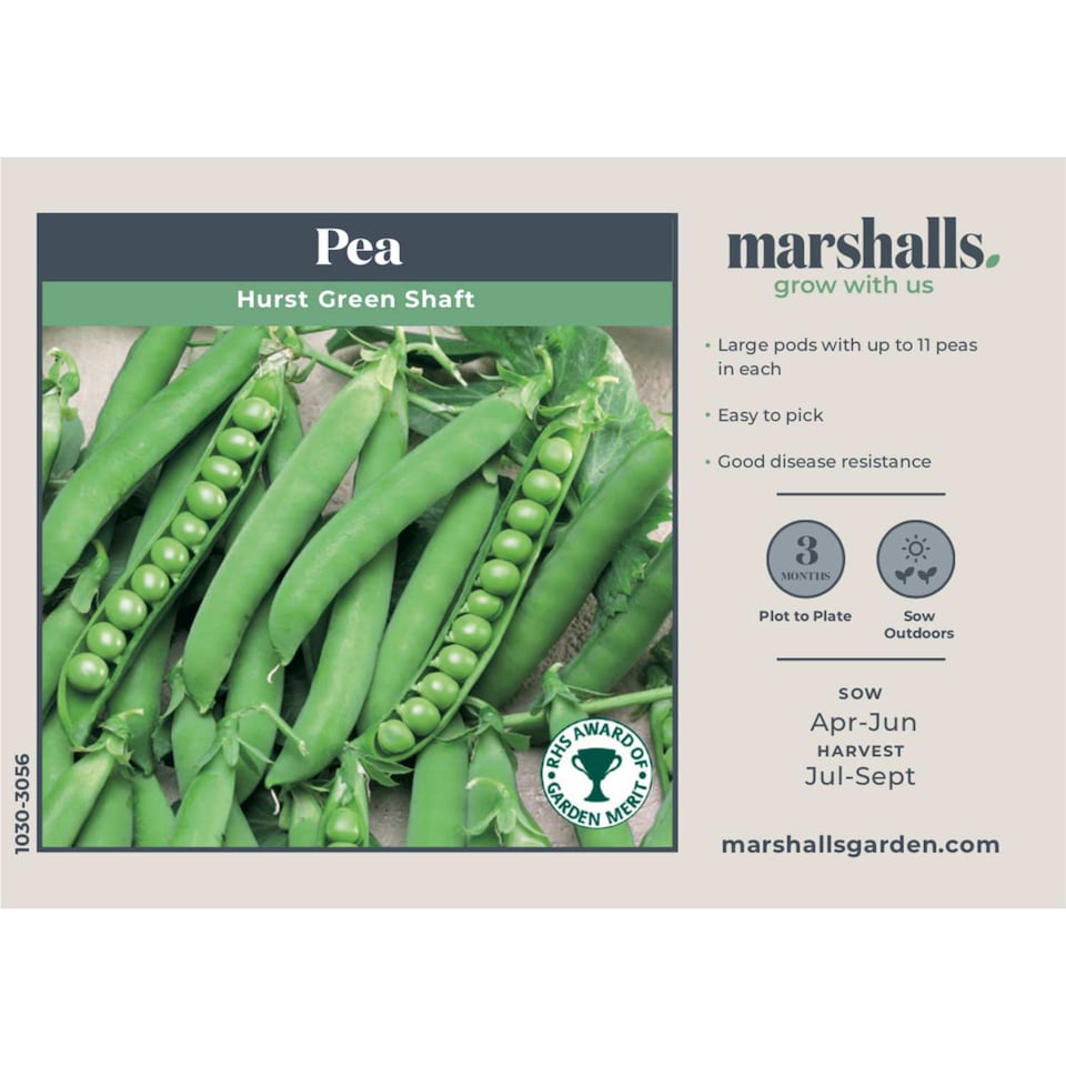image 1 of Marshalls Garden Pea Seeds Hurst Green Shaft, RHS Award of Garden Merit, Disease-Resistant, Heavy Double Pods | Multi | Green | Seeds