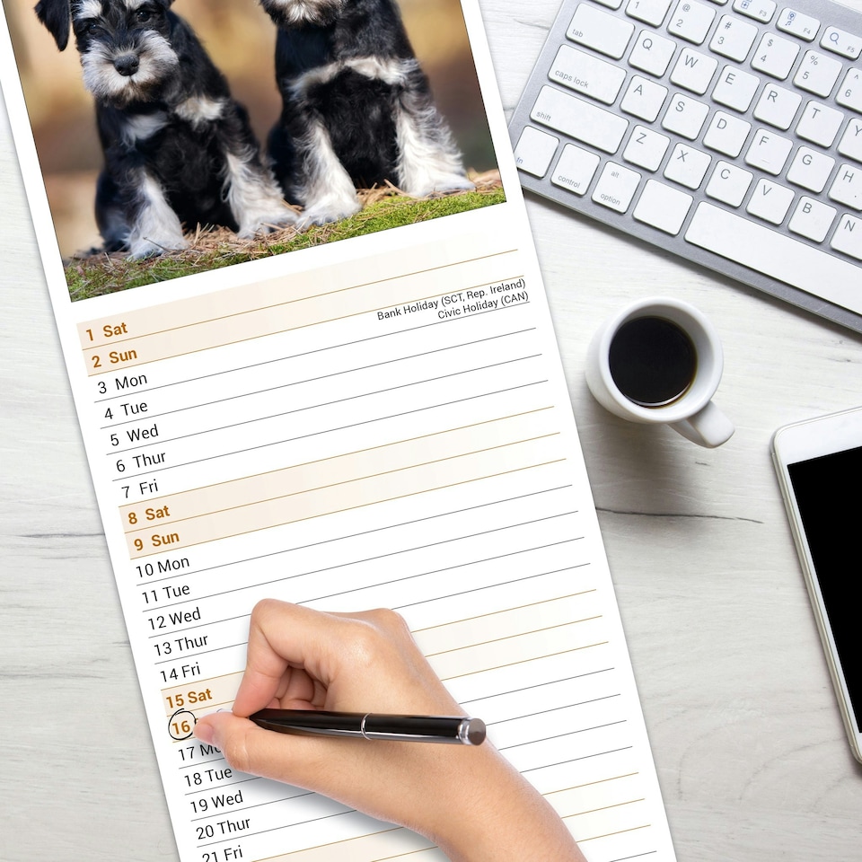 image 1 of Schnauzer Slim 2026 Calendar | Slimline Wall Calendar | Dog Breed Gift | Plastic Free Packaging | by Avonside Publishing [Calendar] Avonside Publishing Ltd
