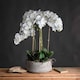 image 3 of Large Orchid in Stone Pot Artificial Flower - Plastic - L50 x W50 x H90 cm - White