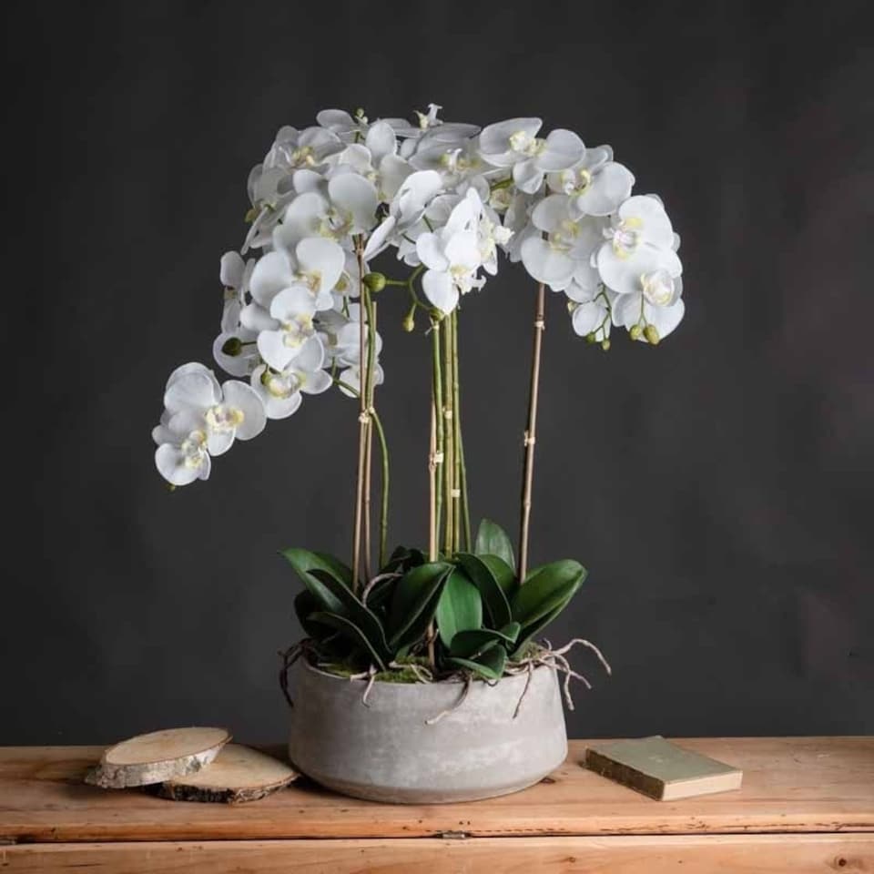 image 1 of Large Orchid in Stone Pot Artificial Flower - Plastic - L50 x W50 x H90 cm - White