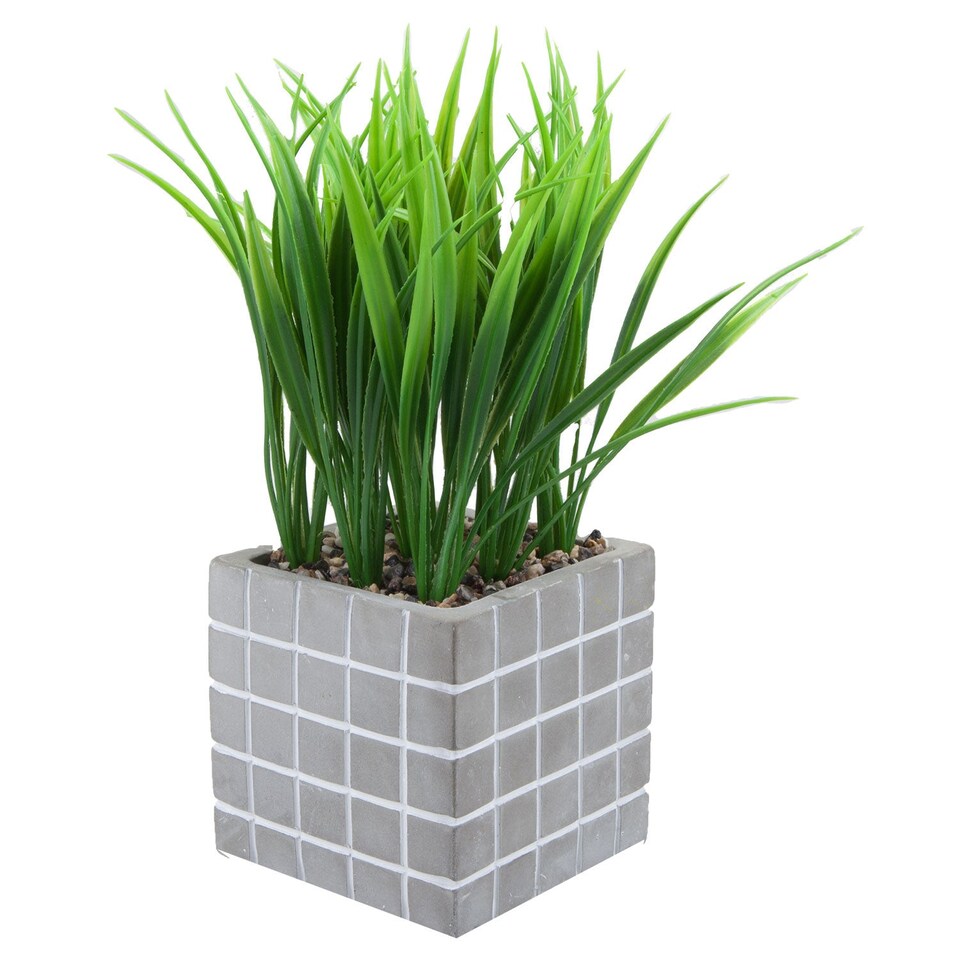image 1 of PMS Artificial Succulent in Grey Cement Pot - 22 x 11 cm