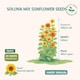 image 2 of Fothergills Premium Sunflower Seeds - Soluna Mix
