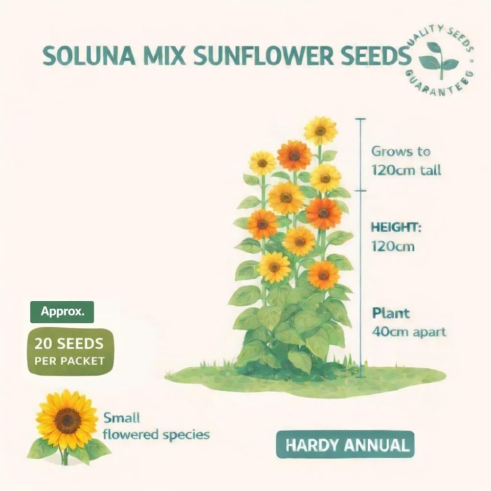 image 1 of Fothergills Premium Sunflower Seeds - Soluna Mix