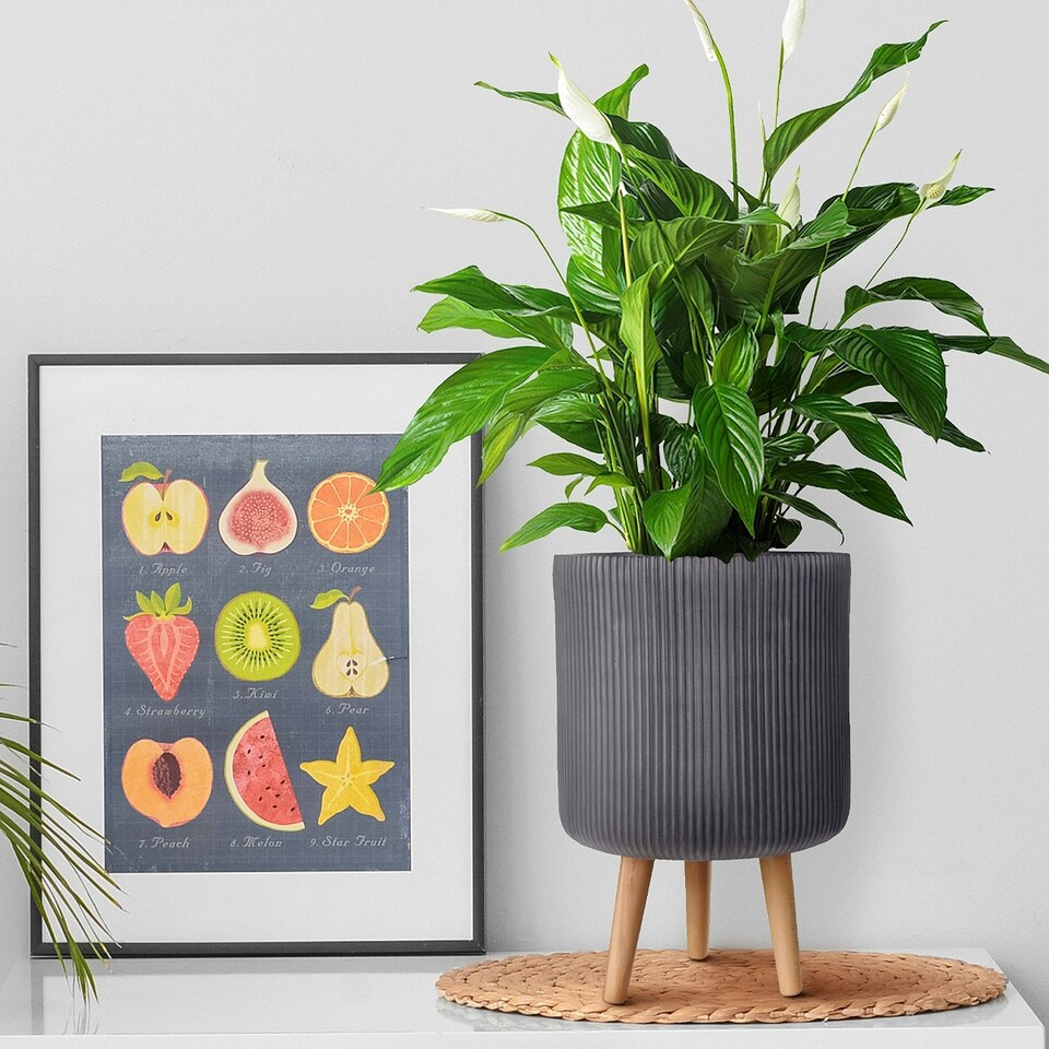 image 1 of Ribbed Black Cylinder Planter on Legs, Round Pot Plant Stand Indoor D25.5 H36 cm, 10.4 ltrs Cap.