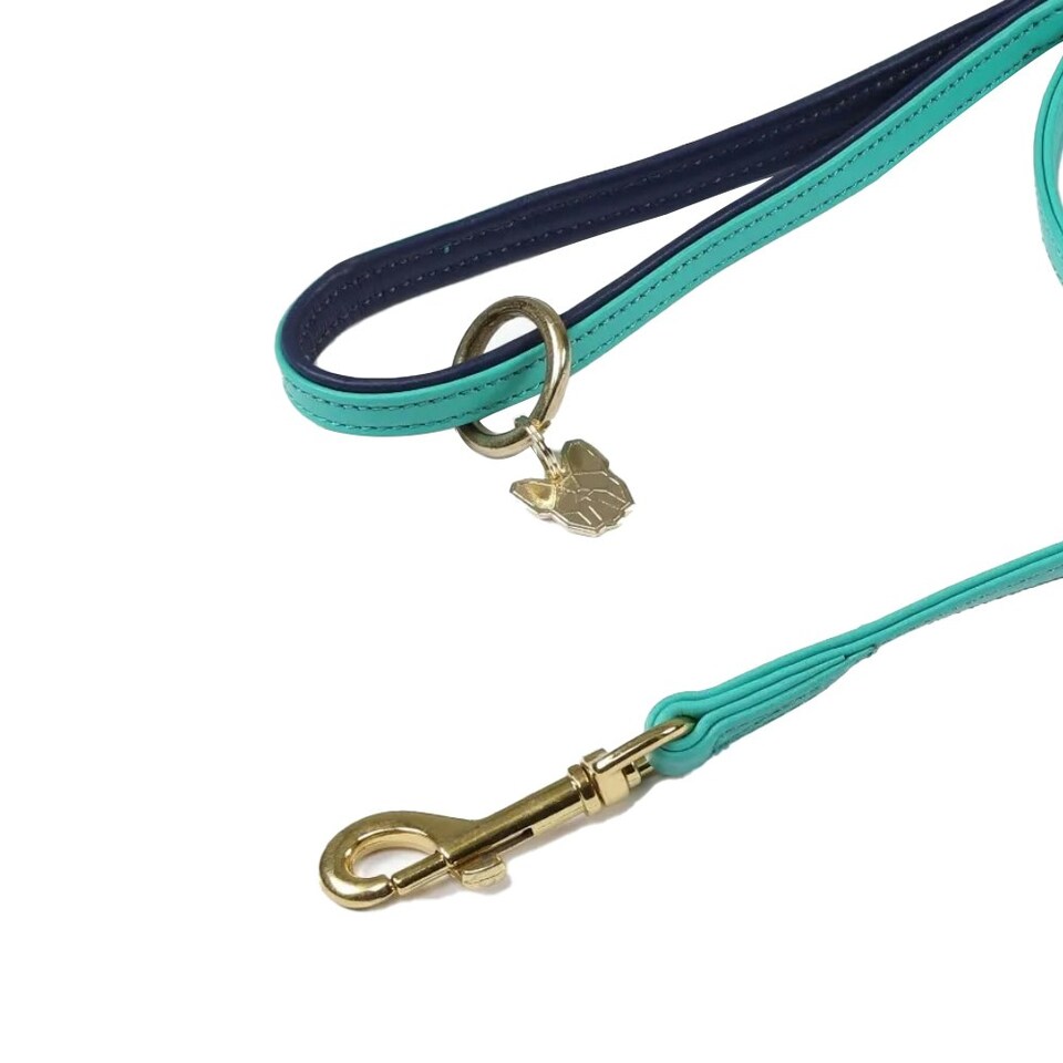 image 1 of Digby & Fox Leather Padded Dog Lead - Aqua - 110cm x 1.5cm