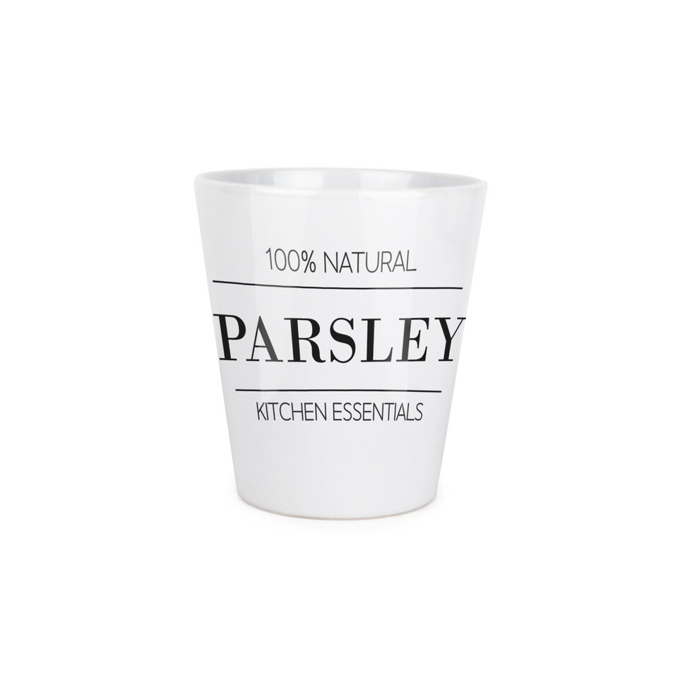 image 1 of Minimalist Design Small Ceramic Parsley Plant Pot