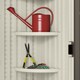 image 7 of Suncast Tremont Shed 8x13 | Cream